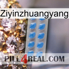 Ziyinzhuangyang 22